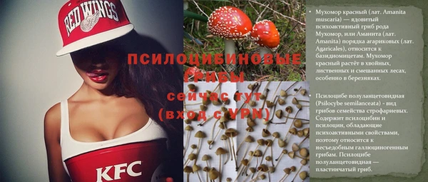 бутират Алексин