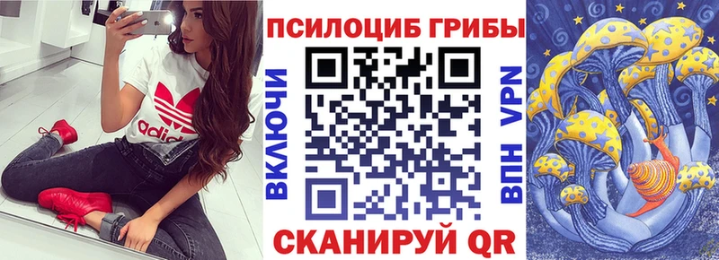 Галлюциногенные грибы MAGIC MUSHROOMS  купить наркотики сайты  Кольчугино 